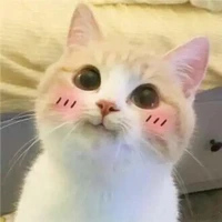 แอด(≧▽≦)