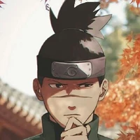 iruka[op]