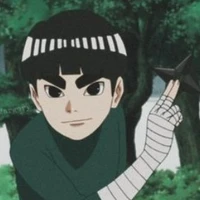 metal lee