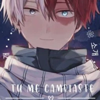 Shoto todoroki O.D
