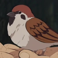 burung pipit