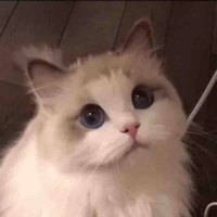 เป็นทุกอย่างให้เธอแล้ว