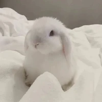 ลูน่า(สัตว์วิเศษของนอ.)
