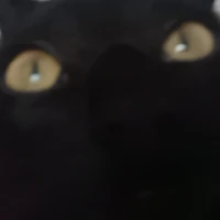 autora