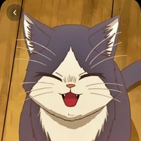 Louis  gato