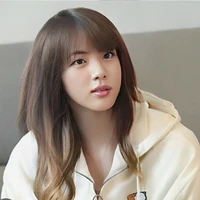 Jeon/Kim Seokjin