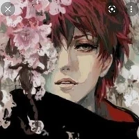 sasori