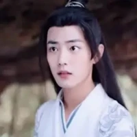 Wei wuzian