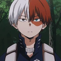 Todoroki Shoto