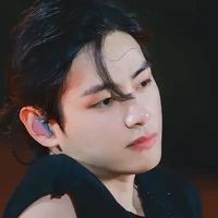 𝑽