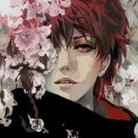 •|Sasori|•