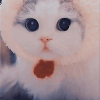 แอดเอง🤍🤍