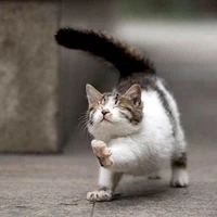 แอด