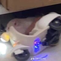แอด