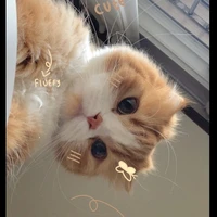 แอดเองน้าบ💐