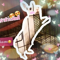 ผู้บรรยาย