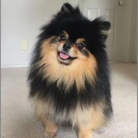 baby yeontan