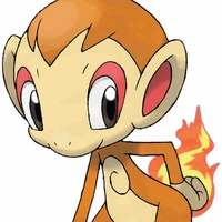 chimcar