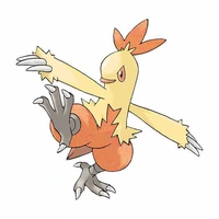 combusken