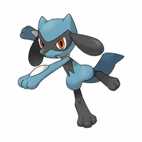riolu