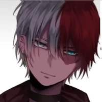 Shoto Todoroki