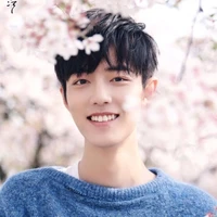 Min zhan(yoongi