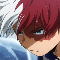 Todoroki🧊