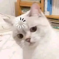 แอดสุดสวย