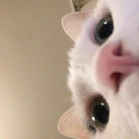 แปกจร้ ymk