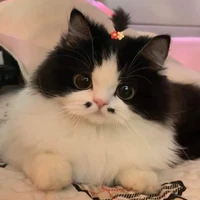 ผีเอง~