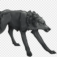 Scar (Frank