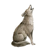 Shaba (Sophia