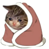 ฉ้านเองอีแอด