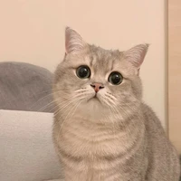 ฟอร์จูน.