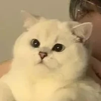 คิว