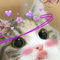 บาร์(นายเอก+ร่างแมว)