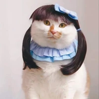 แอดʕ´• ᴥ•̥`ʔ