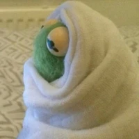 เหล่าแฟนคลับของเอเธนส์