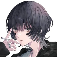 Y/N
