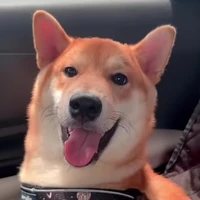 ซูลู