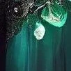 ×××××××
