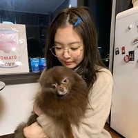 แคท