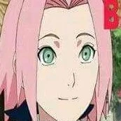 sakura: the cherry blossom