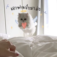เเอดเอง😶‍🌫️