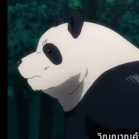 แพนด้า