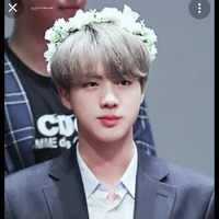 Seok-Jin(Jungkook