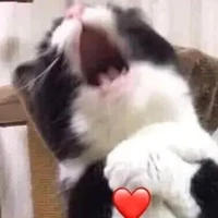 แอดเองง!!💢