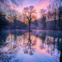 Unknown 1