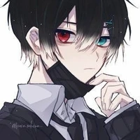 บลูบอนเนต เยอบีร่า(ก่อนตุย)