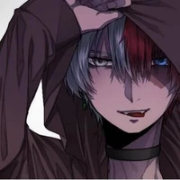 Todoroki Shoto (O.P)